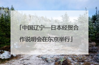 中国辽宁—日本经贸合作说明会在东京举行
